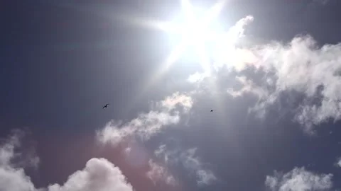 Dark clouds with bright sun beams - sky background, birds, sunrays - real time Stock Footage 153954117