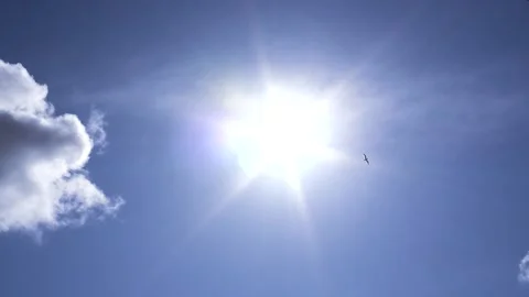 Dark clouds with bright sun beams - sky background, birds, sunrays - real time 스톡 동영상 154203670