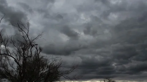 Dark clouds with bush Stock Footage 38718567