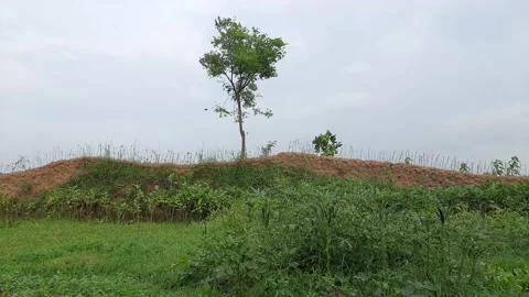 Dark clouds cloud and strong winds before the rain. Stock Footage 140161549