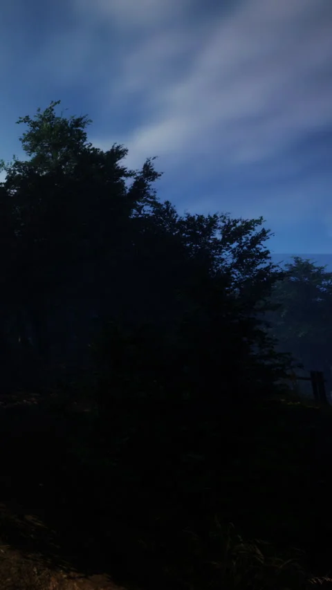 Dark clouds cover trees in a quiet forest near a small clearing in the evening Stock Footage 337950910