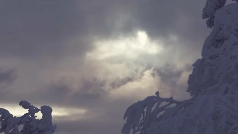 Dark clouds float over the snowy trees and block out the sun Stock Footage 144936154