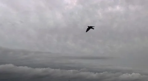 DARK CLOUDS FLOATING IN SKY BEFORE RAIN Stock-Footage 137639932