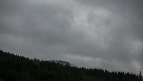 Dark clouds gather over a dense forest, hinting at an approaching storm in the Stock Photos