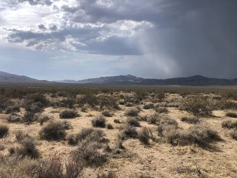 Dark Clouds Gather Over a Desert Landscape in the Quiet Afternoon Stock Photos