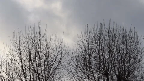 Dark clouds gathering Stock Footage 170386208