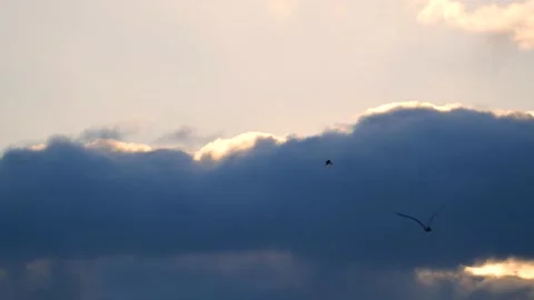Dark clouds with golden sun beams - sky background, birds, sunrise - real time Stock Footage 154682044