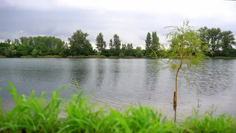 Dark clouds hover above the lake, with a tree growing within it Stock-Footage 268417424