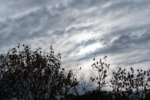 Dark clouds loom above bare tree branches Stock Photos