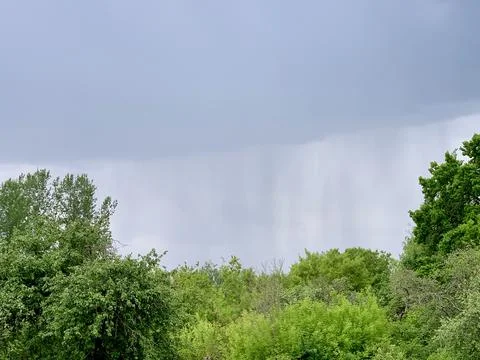 Dark clouds loom over thick greenery, indicating an incoming rainstorm. The Stock Photos