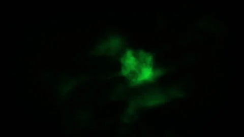 Dark Clouds Move Over Green Moon Spooky Landscape Stock Footage 316847674