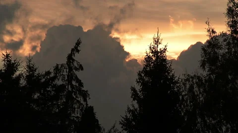 Dark clouds moving behind the trees at sunset Stock Footage 55796559