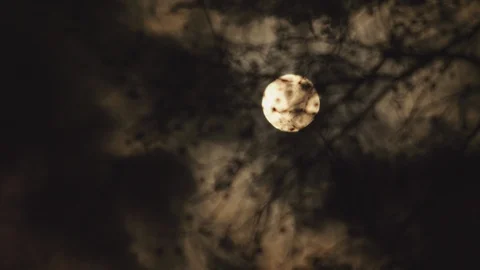 Dark clouds moving with the full moon at night focus to tree Stock Footage 103784805