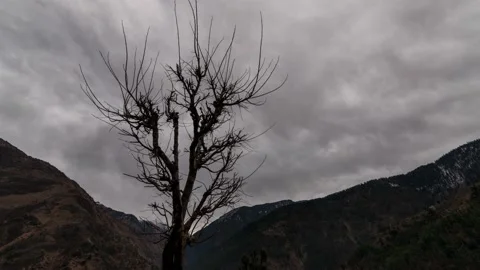 Dark clouds moving over a dry tree in a timelapse in Himachal Pradesh, India Video stock 172498648