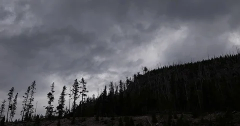 Dark clouds moving over tree trops 4k 24fps Stock Footage 79327179