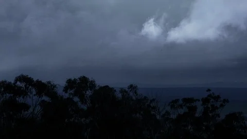 Dark clouds moving over trees at dusk Stock Footage 94885156