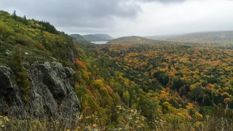 Dark clouds over fall forest Stock Footage 100138308