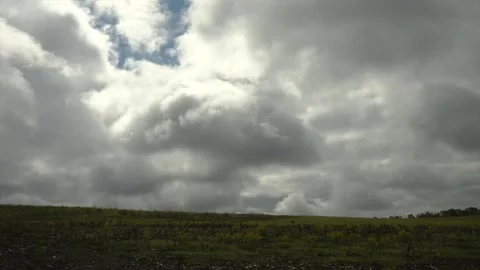 Dark Clouds over Farmer"s Field Stock-Footage 308880399