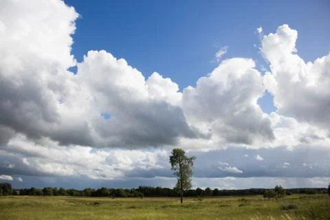 Dark clouds over the field Stock Photos