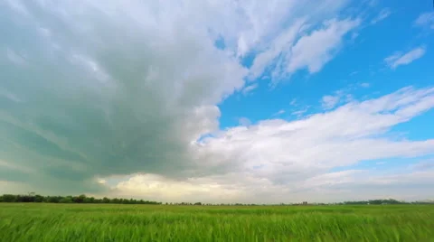 Dark Clouds over a Green Wheat Field Stock Footage 63153169