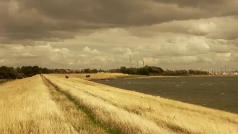 Dark clouds over the land Stock Footage 252176542