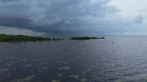 Dark Clouds Over a Mangrove Coast in Puerto Princesa Palawan Stock Footage 336302399