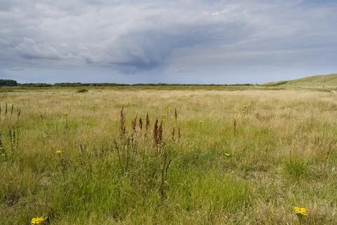 Dark clouds over a meadow behind Horsey Beach, Norfolk Stock Photos