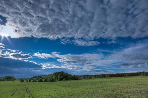 Dark clouds over meadow Stock Photos