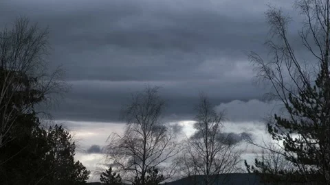 Dark Clouds Over Tree Branches Without Leaves Stock-Footage 229656731