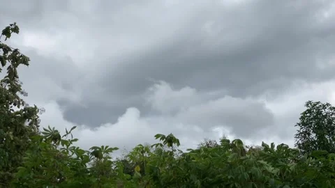 Dark Clouds Over Tropical Trees Before Rain Stock Footage 309509770