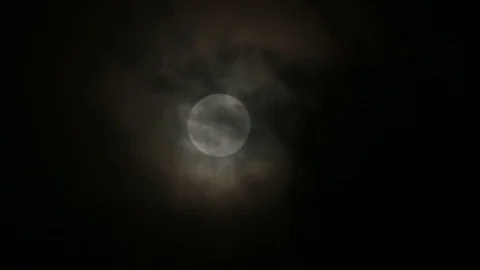 Dark clouds passing full moon over windy forest trees Stock Footage 70702861