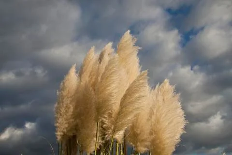 Dark clouds Stock Photos
