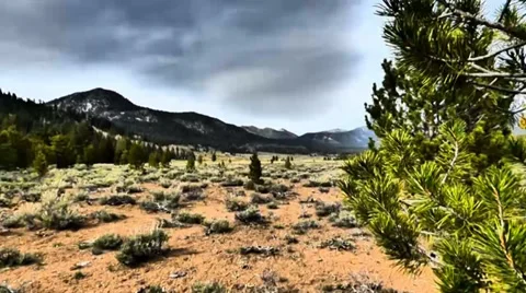 Dark Clouds, Red Earth, Pines 動画素材 38841615