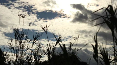 Dark Clouds Rolling in Stock Footage 39126715