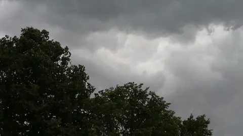 Dark clouds in the sky and trees Stock Footage 25123686