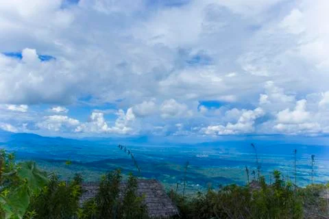 Dark clouds before the storm is the background. Black clouds cover the forest Stock Photos