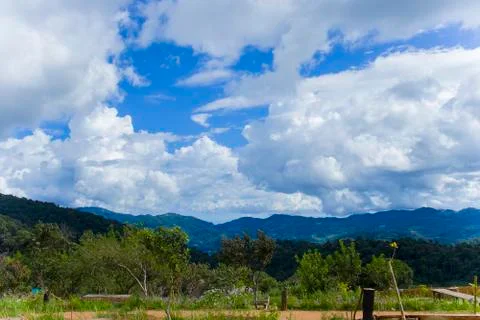 Dark clouds before the storm is the background. Black clouds cover the forest Stock Photos