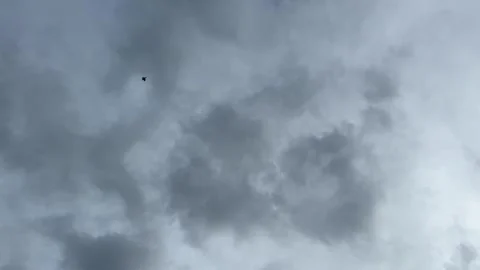 Dark clouds swirl in moody sky as lone bird flies through Stock Footage 314708582