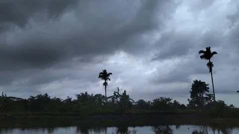 Dark Clouds Timelapse With trees in Stormy Wind over the lake Stock Footage 133084228