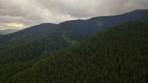 Dark cloudy drone shot flying misty aerial view forest flight. Stock Footage 153893460