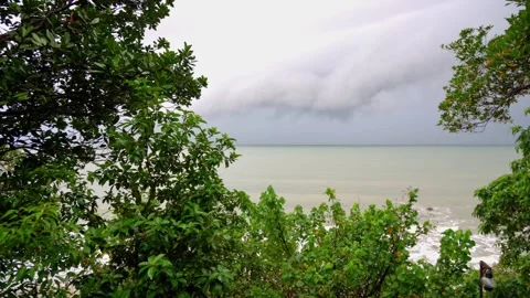 Dark cloudy skies at the beach from tree top. Pan right. Stock Footage 262701730