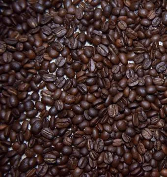 Dark coffee beans on the beige background close-up Stock Photos