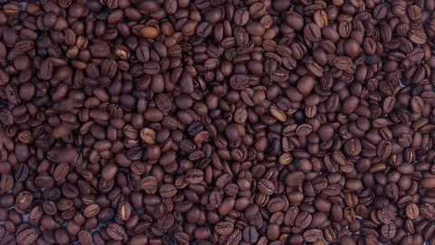 Dark Coffee Grains. Coffee beans. Beautiful seeds of coffee Stock Footage 124624232