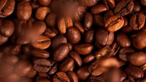 Dark Coffee Grains. Rotating and falling. Coffee beans. Close up of seeds of Stock-Footage 152889580