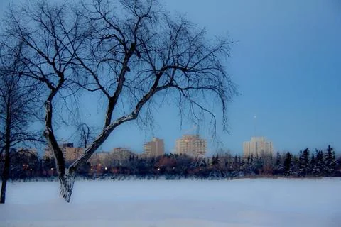 Dark cold winter day Stock Photos