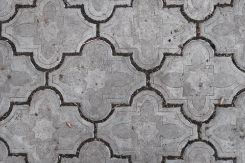 Dark color background texture in winter summer Spring Autumn Stock Photos