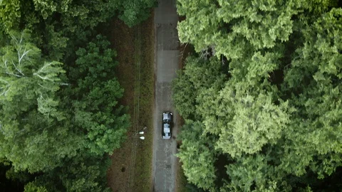Dark colored car driving down an asphalt road crossing the vast forest Stock Footage 129451679