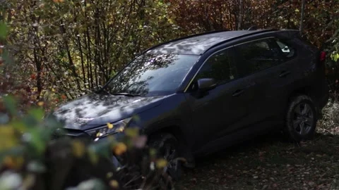 A dark-colored car is partially hidden behind dense forest foliage Video stock 294363000