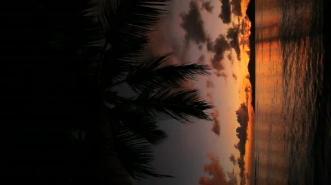 Dark colorful sunset vertical Stock Footage 462556