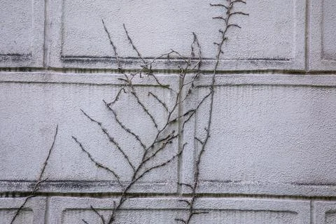 Dark concrete rough texture, background for design Stock Photos